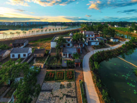 河南虞城县利民镇老佟庄村最美支部书记-王森