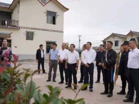 以集体经济为转轴,实现德育村民喜分红